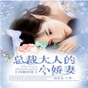 -佚名-火凤凰08