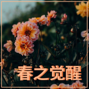 春之觉醒 – 新世纪音乐，冥想音乐， 春分，大自然之音--KANJIAN疗愈_静心助眠-佚名