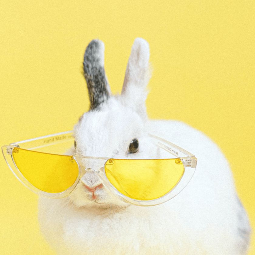 小故事大道理（寓言）--天天青与-