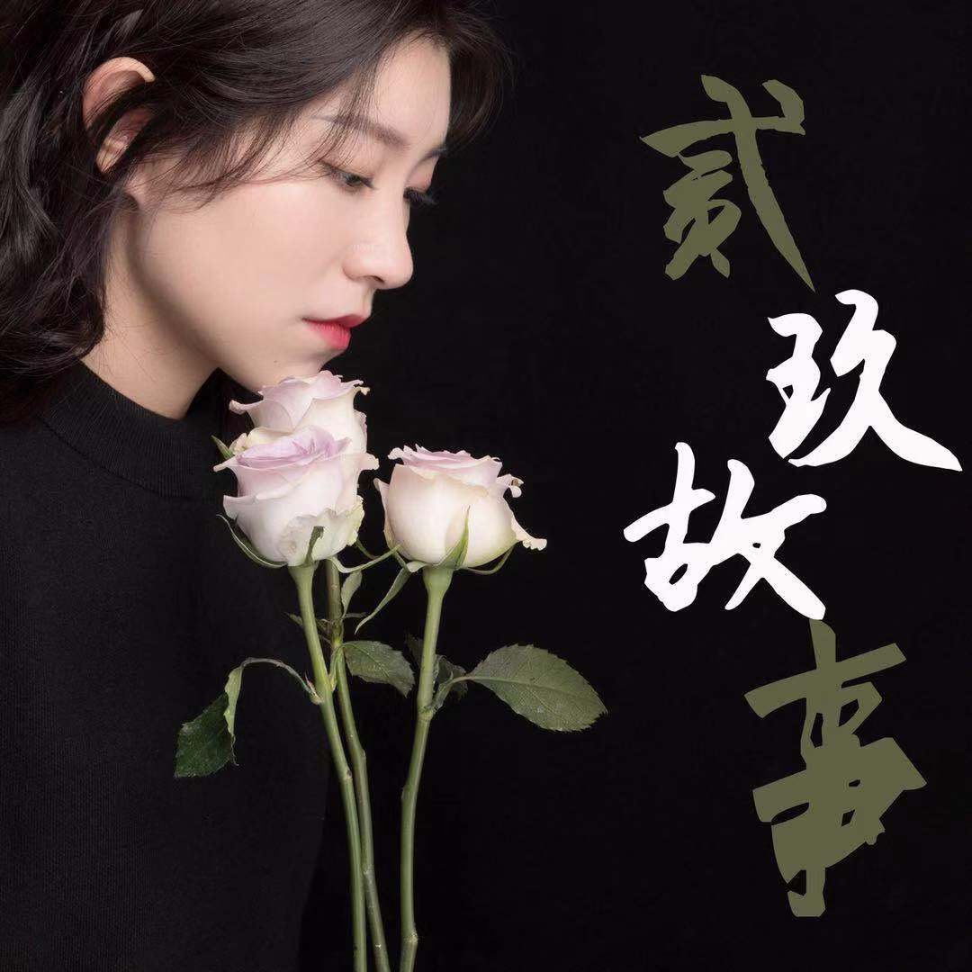贰玖故事--贰玖-佚名