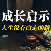 成长启示：人生没有白走的路-佚名-书音有声书