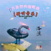5D|大自然的催眠曲|舒缓|静心|治愈|助眠|瑜伽--鱼音悠悠工作室-佚名