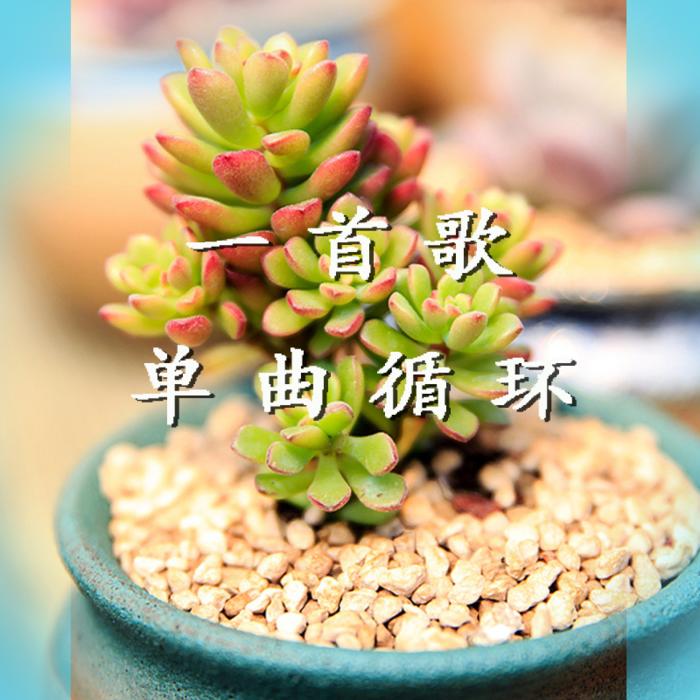 车载音乐/经典歌曲/一首歌单曲循环--莘予昕韵-佚名