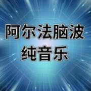 阿尔法脑波--团长-佚名