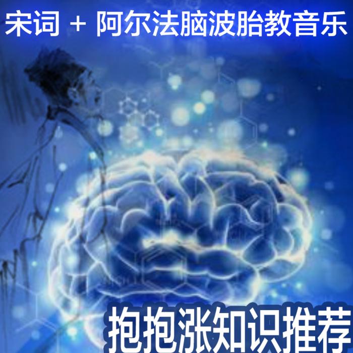 国学经典-全宋词三百首300首--晨蒙故事会-