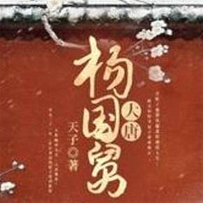 大唐杨国舅-天子-王艺240674