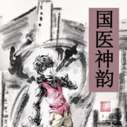 国医神韵 （一部失落的“侠医传奇”）--有声三次元-佚名
