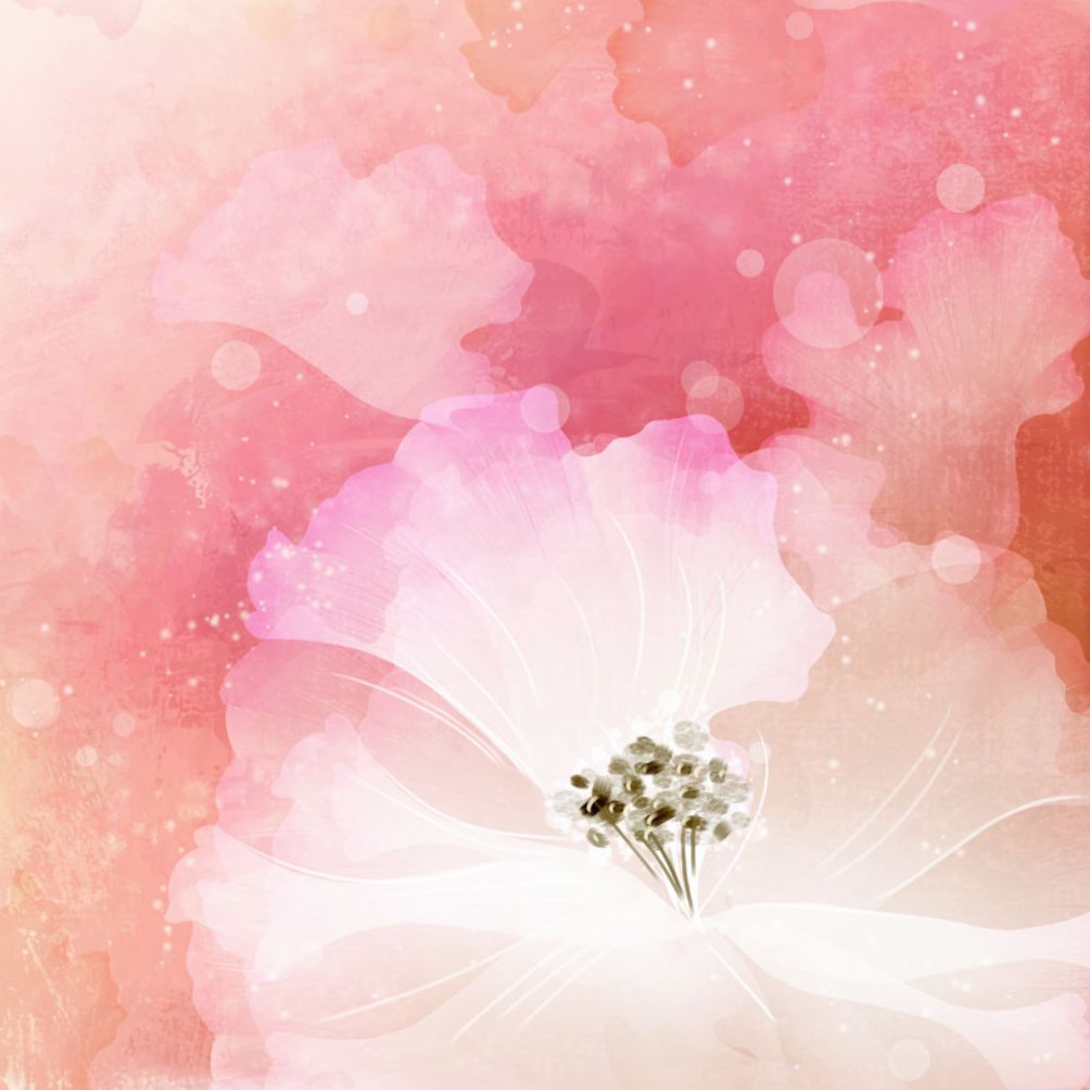 学生试音--苏冉笙-