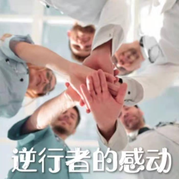 逆行者的感动--奇妙的鹤-