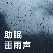 雨声催眠｜真实雨声 快速入眠-主播苏言-苏言-佚名