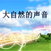 助眠大自然音哄睡解压--微风拂面-佚名