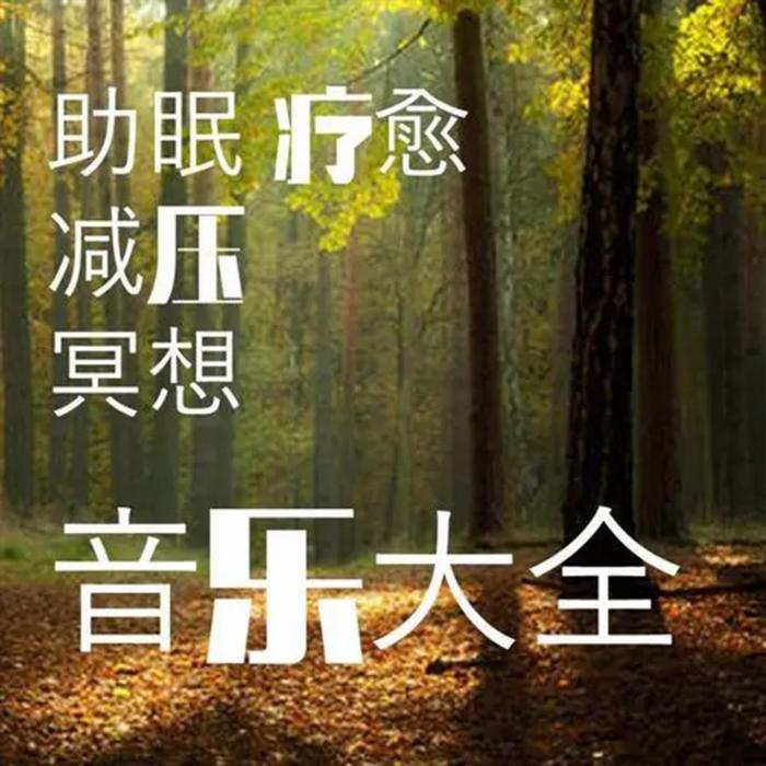 深度睡眠音乐 纯音乐 催眠音乐 治疗音乐 胎教音乐 大自然纯音乐--美阳洋-佚名