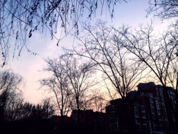 面向大海春暖花开，散文诗歌集--闫小满-