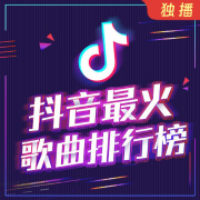 抖音最火歌曲排行榜-DJ彼岸-播音DJ彼岸-佚名