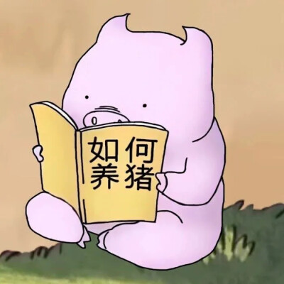 懂你--香瓜的拖鞋-