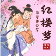 红楼梦--时间简史-佚名