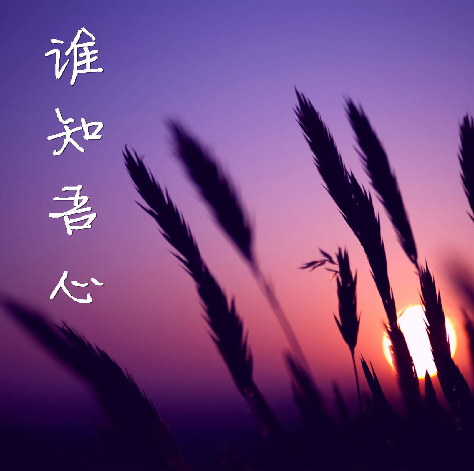 谁知吾心--良辰-之聲-佚名