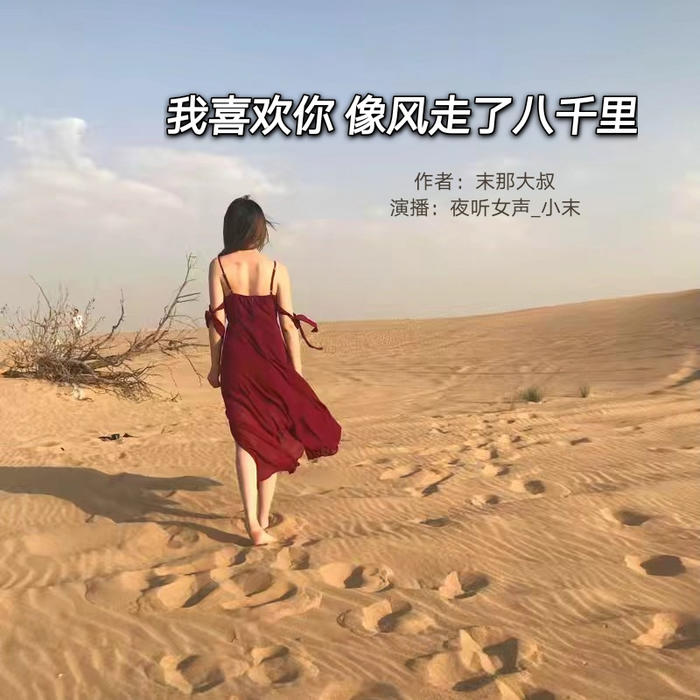 我喜欢你 像风走了八千里-(TME-SAME)-1000154848--夜听女声_12035472-佚名