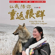 让我陪你重返狼群--一本书，一盏灯，一个人！-佚名