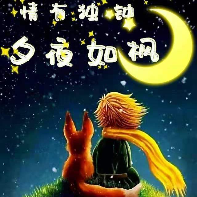 情有独钟-夕夜如枫（国粤）--枫笙水麒-佚名