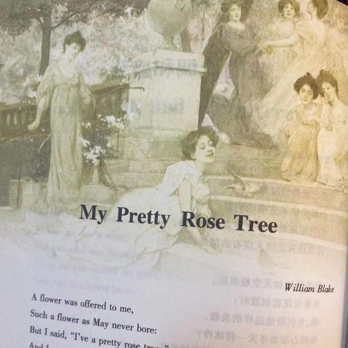 世界上最浪漫的情诗（英汉版）--雪花有声-佚名