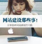 网站建设那些事--刘文峰-佚名
