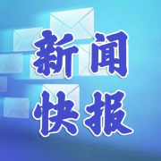 资讯快报--金钰禅静-