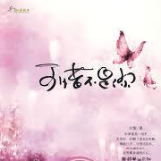 可惜不是你--Rs.雪巅之声-