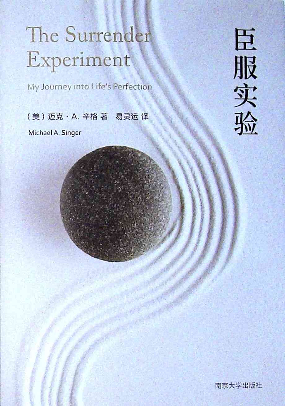 臣服实验-《纽约时报》畅销书榜冠军图书--优迈-佚名