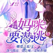 -佚名-好好听有声书，翩翩飞武，雷阵雨