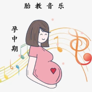 胎教音乐|越听越聪明 古典音乐 阿尔法|孕中期--铠甲羽毛-佚名