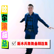 哈尔滨DJ旗总《新水兵舞舞曲精选集》--哈尔滨DJ旗总音乐工作室-佚名