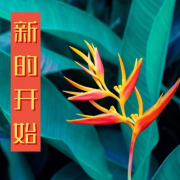 新的开始 – 振动疗法，曼茶罗冥想音乐，适合瑜伽、休息时刻、锻炼身体的舒缓情绪音乐，大自然--KANJIAN疗愈_静心助眠-佚名