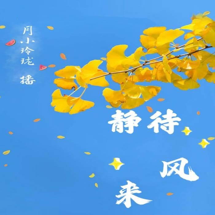 静待风来|精彩随笔集|人间烟火生活往事个人成长--月小玲珑-佚名