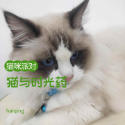 猫与时光药-haiqing-haiqing-佚名
