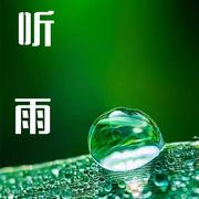听雨-白噪音催眠--大脸喵-佚名