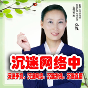 沉迷网络中--心理咨询师张霞-佚名