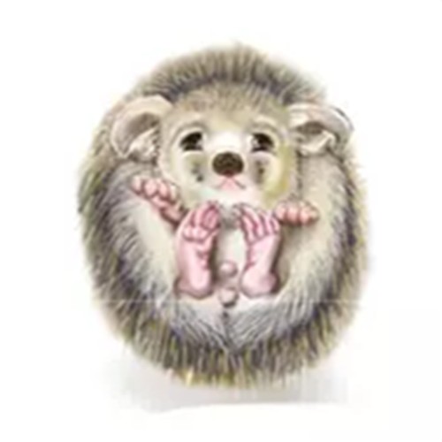 你好像一只刺猬，可我好想抱抱你(南有先生)--暴雨-佚名