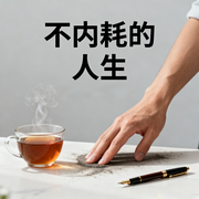 不内耗的人生-临川居士-书音有声书