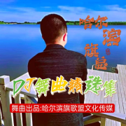 哈尔滨DJ旗总(DJ舞曲精选集)--哈尔滨DJ旗总音乐工作室-佚名