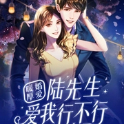 暖婚厚爱：陆先生，爱我行不行-佚名-天下书盟