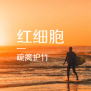 红细胞--疏篱护竹-佚名