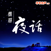 【情感夜话】电波 | 苇苇有声 主播--苇苇有声-佚名