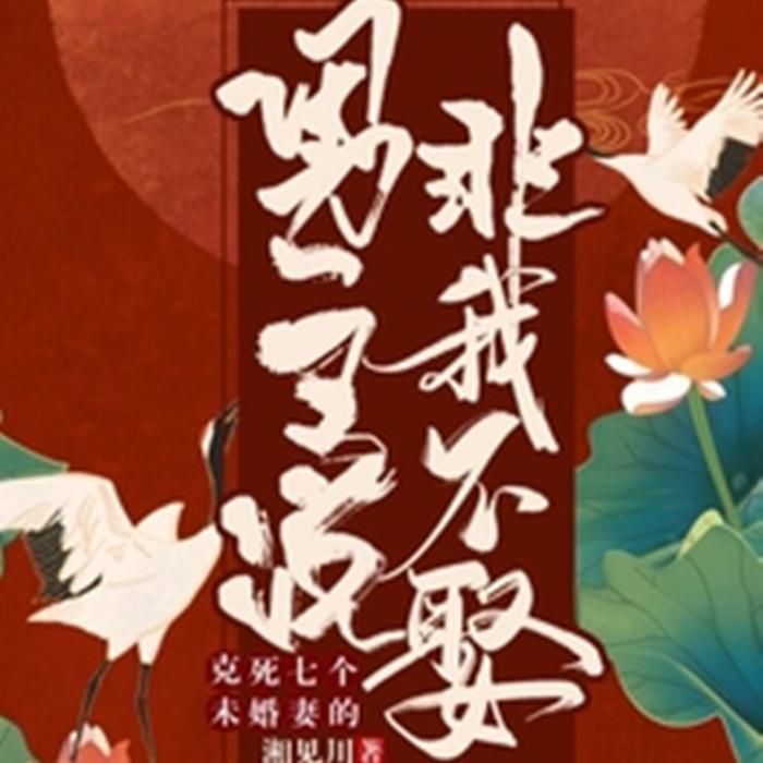-佚名-主播斌貝小可