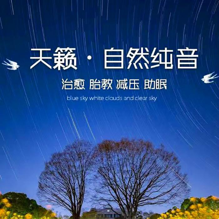 宝贝晚安胎教音乐|舒缓解压  治愈系 哄睡--兔耳朵姐姐-佚名