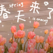 片片的每日绕口令--风鳞片-佚名