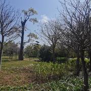 秋天的现代诗朗读--秋天-佚名