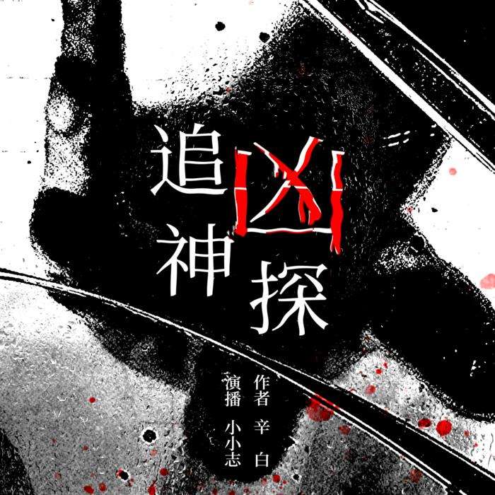 追凶神探|刑侦推理探案小说|免费--小志有声-佚名
