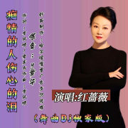 红蔷薇-痴情的人伤心的泪(哈尔滨DJ旗总舞曲Dj独家版)--哈尔滨DJ旗总音乐工作室-