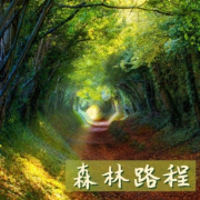 森林路程- 大自然的声音，励志的环境音乐，森林之音，让心灵放松的音乐--KANJIAN疗愈_静心助眠-佚名